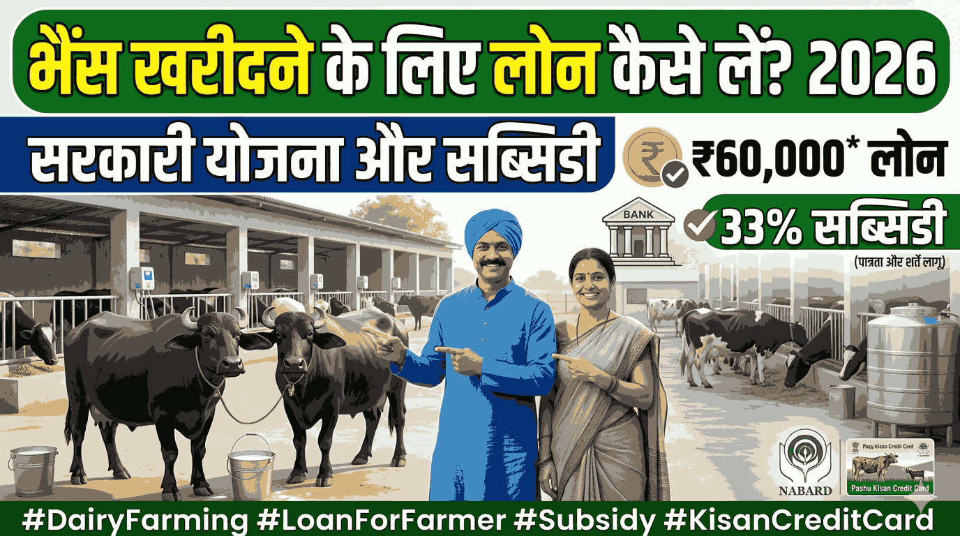 Buffalo Loan Scheme 2026